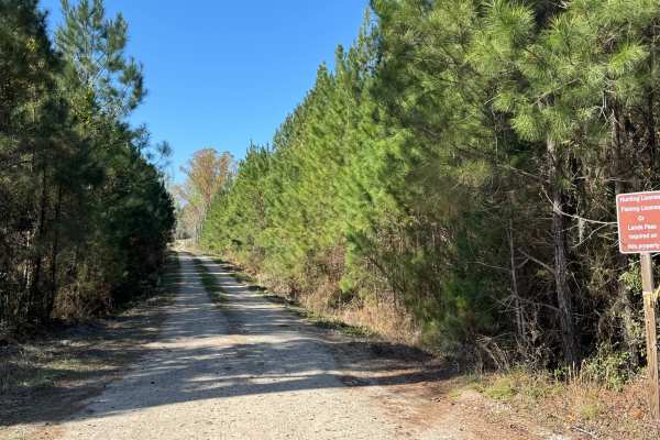Belle Vista Road