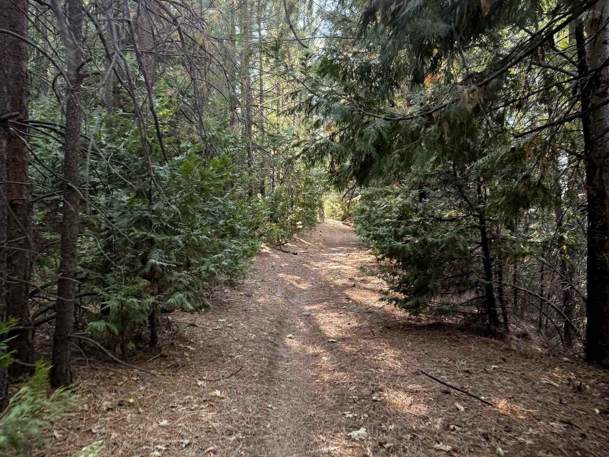 16EV247 trail photo