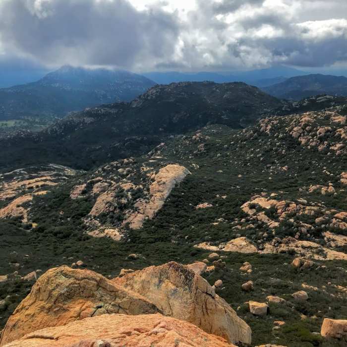 Near Lawson Peak Trail