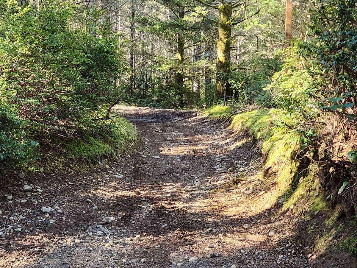 Loop Trail trail photo