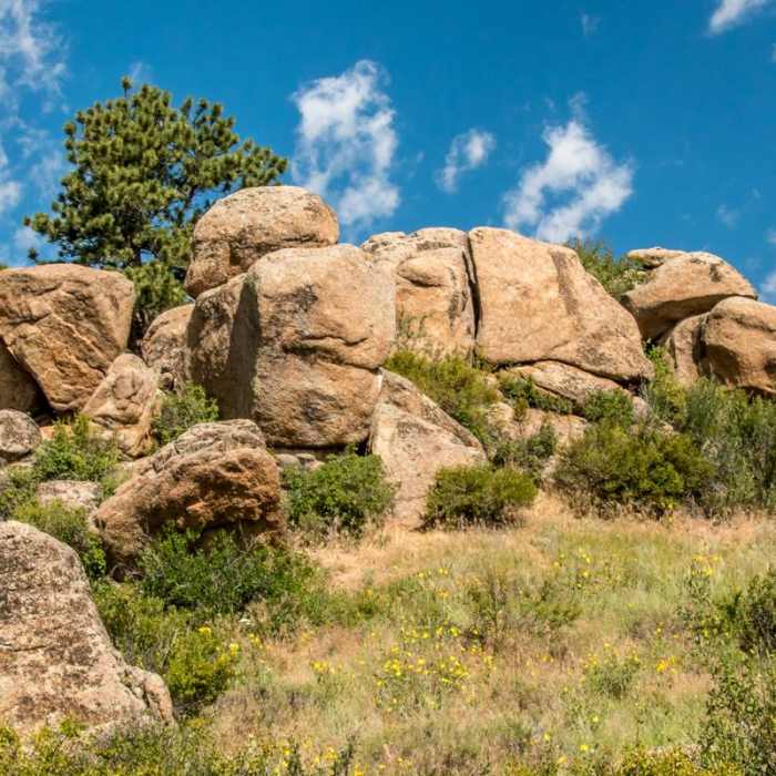 Near Lariat Trail + Stone Temple Circuit