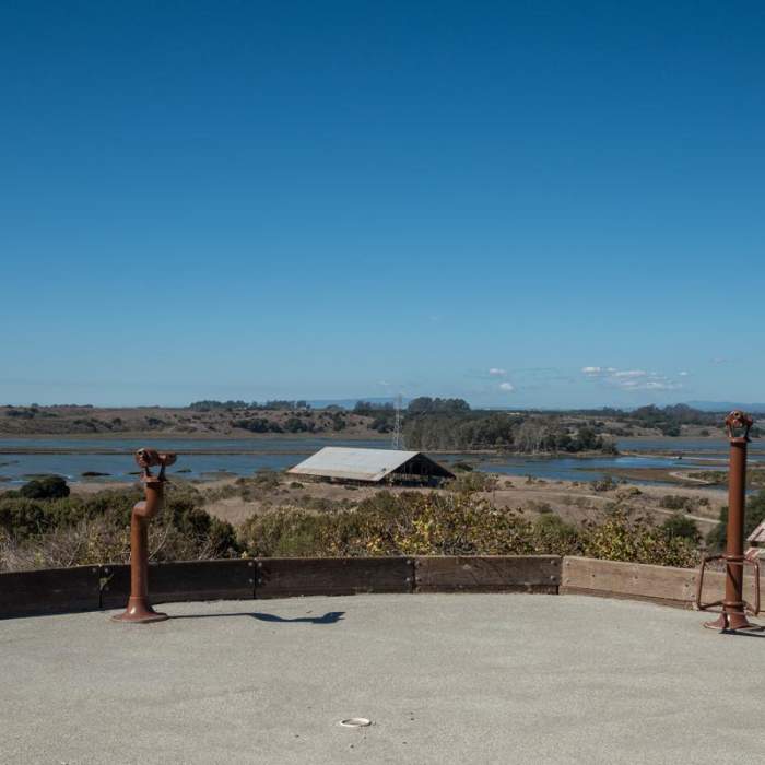 Near South Marsh Loop Near South Marsh Loop