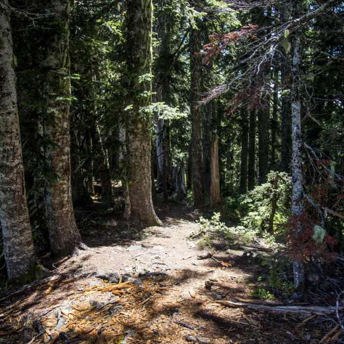 Near Soda Peaks Lake