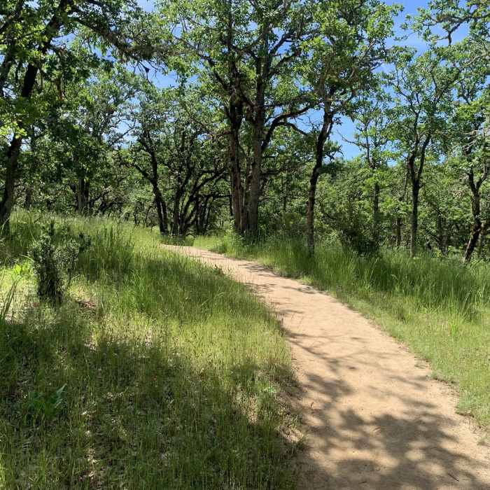 Near Britt Woods Loop