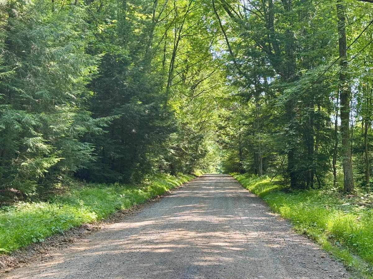 Firetower Road photo 4