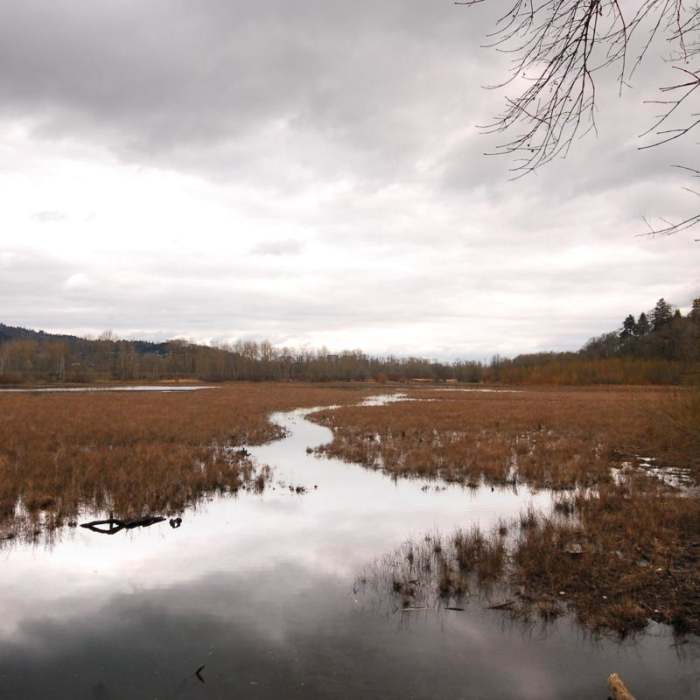 Near Oaks Bottom Hiking Trails