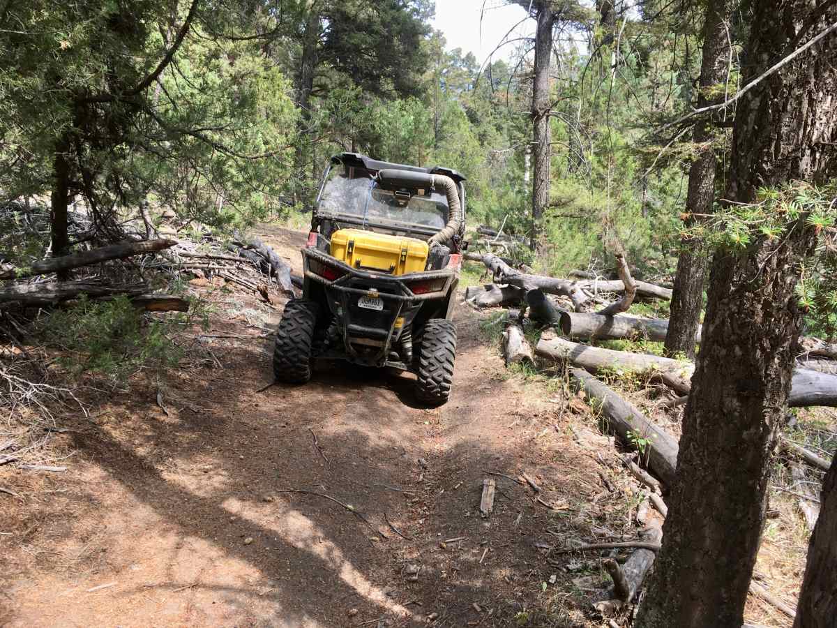 Little Galena Trail photo 6