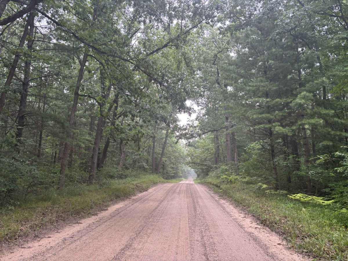 South County Line Road  trail photo