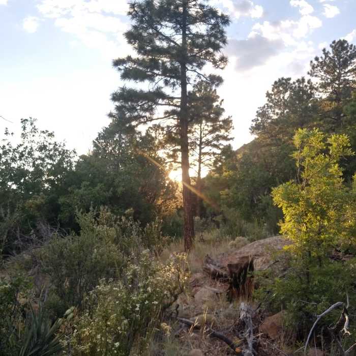 Sunset on Forces of Nature Near Pipeline Trail