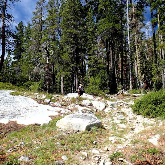 Through granite on the Little Duck Lake Trail. Near Little Duck Trail #5511
