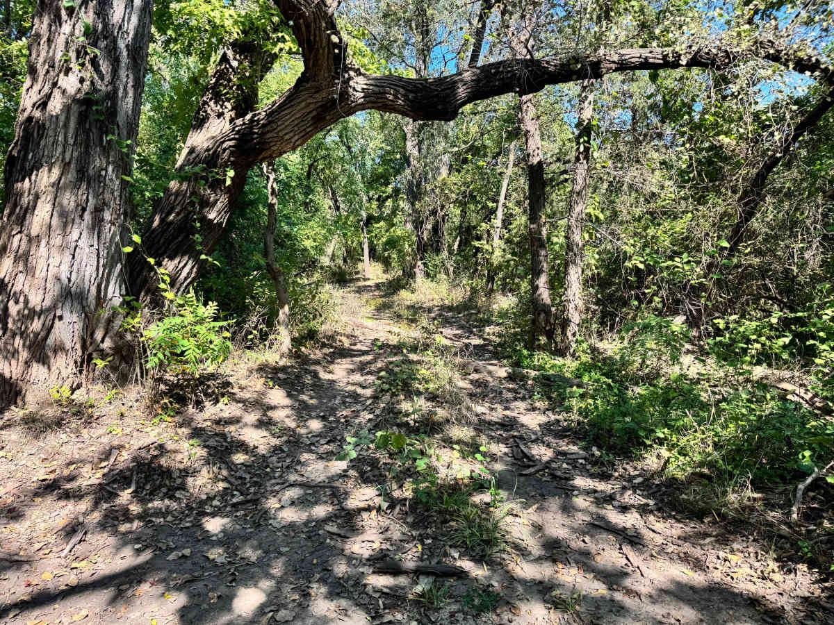 Turbo Twist trail photo