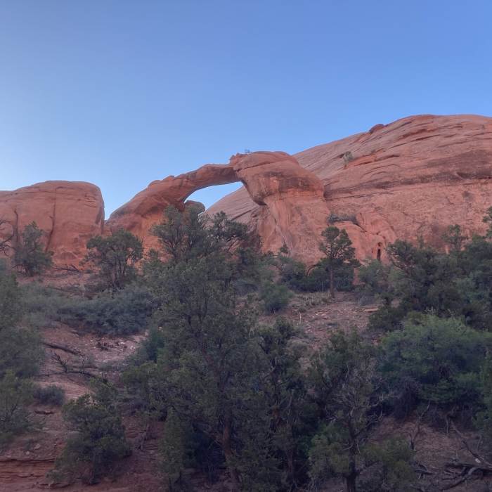 Near Navajo Mountain - Rainbow Bridge North Trail