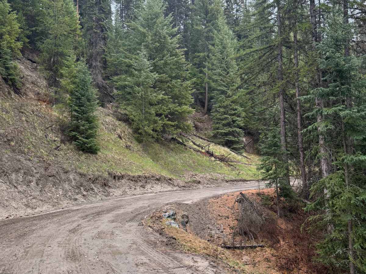 Echo Creek - FS 6113-325 photo 5