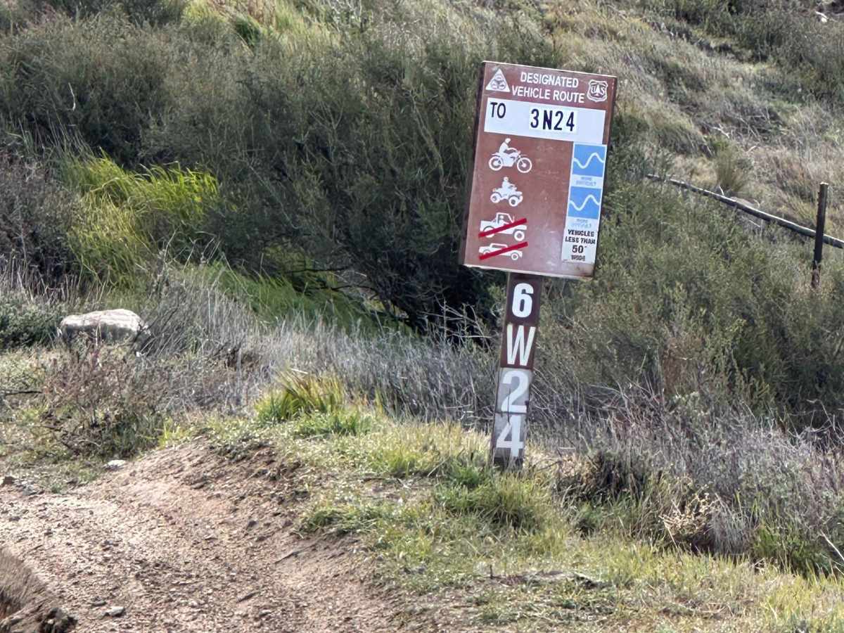 Dougies Dip trail photo