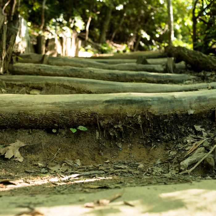 Near Lookout Mountain