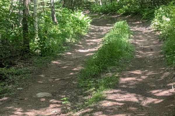 Sweeney Road Descent
