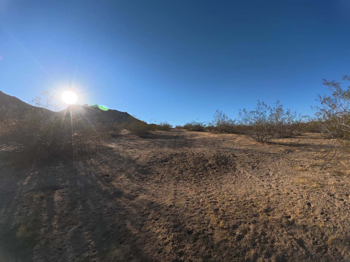 BLM SV2614 photo 4