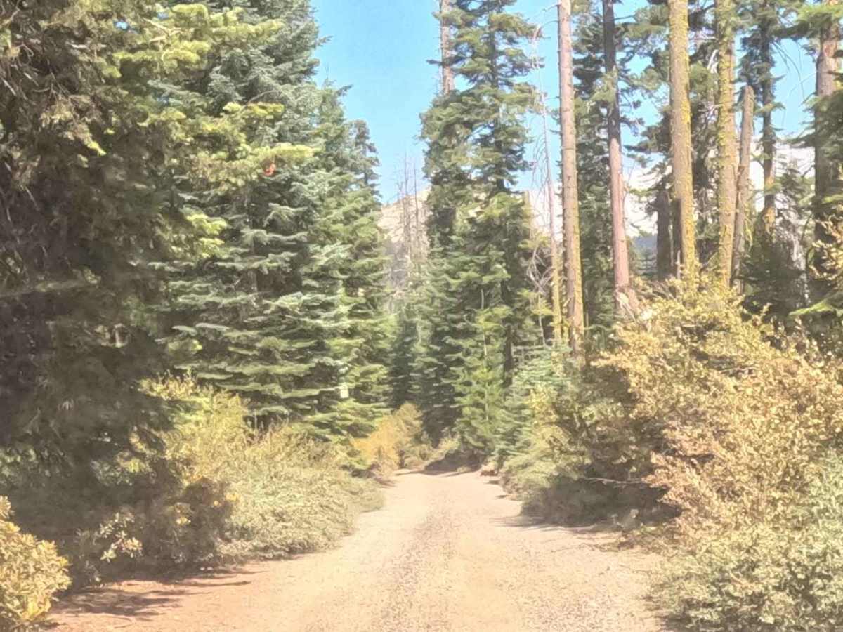Upper Sky Ranch Road - FS 6S010A photo 6
