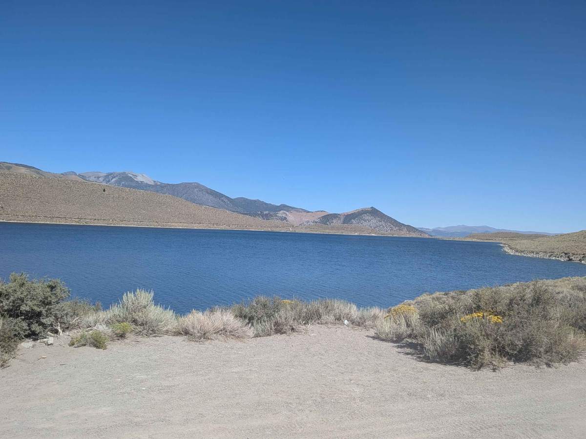 Grant Lake Road - FS 1S30 trail photo