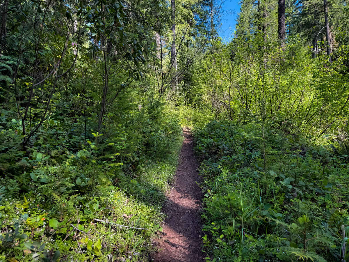 300 trail photo