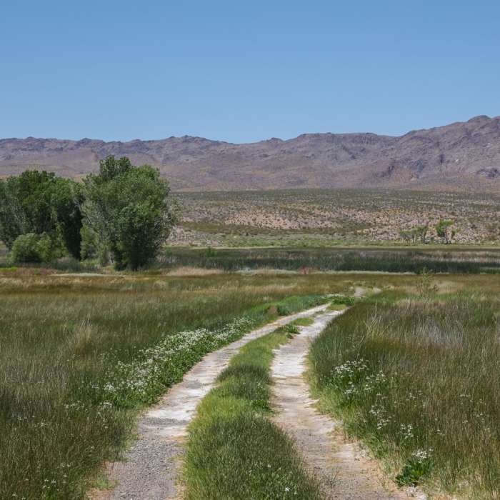 Near WHIN Dike Trail Near WHIN Dike Trail