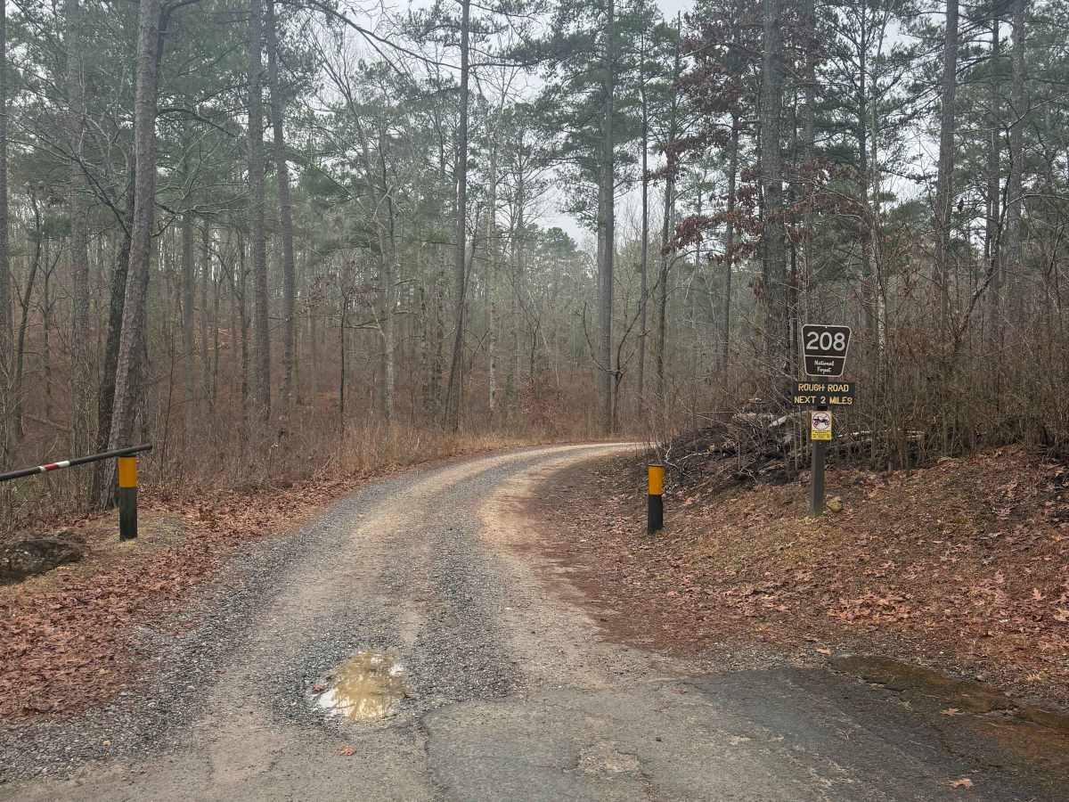 Johns Mountain Overlook - FS 208 trail photo
