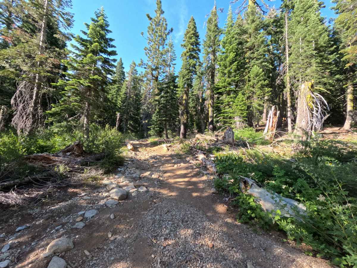 Snake Lake Trail - FS 12E67  trail photo