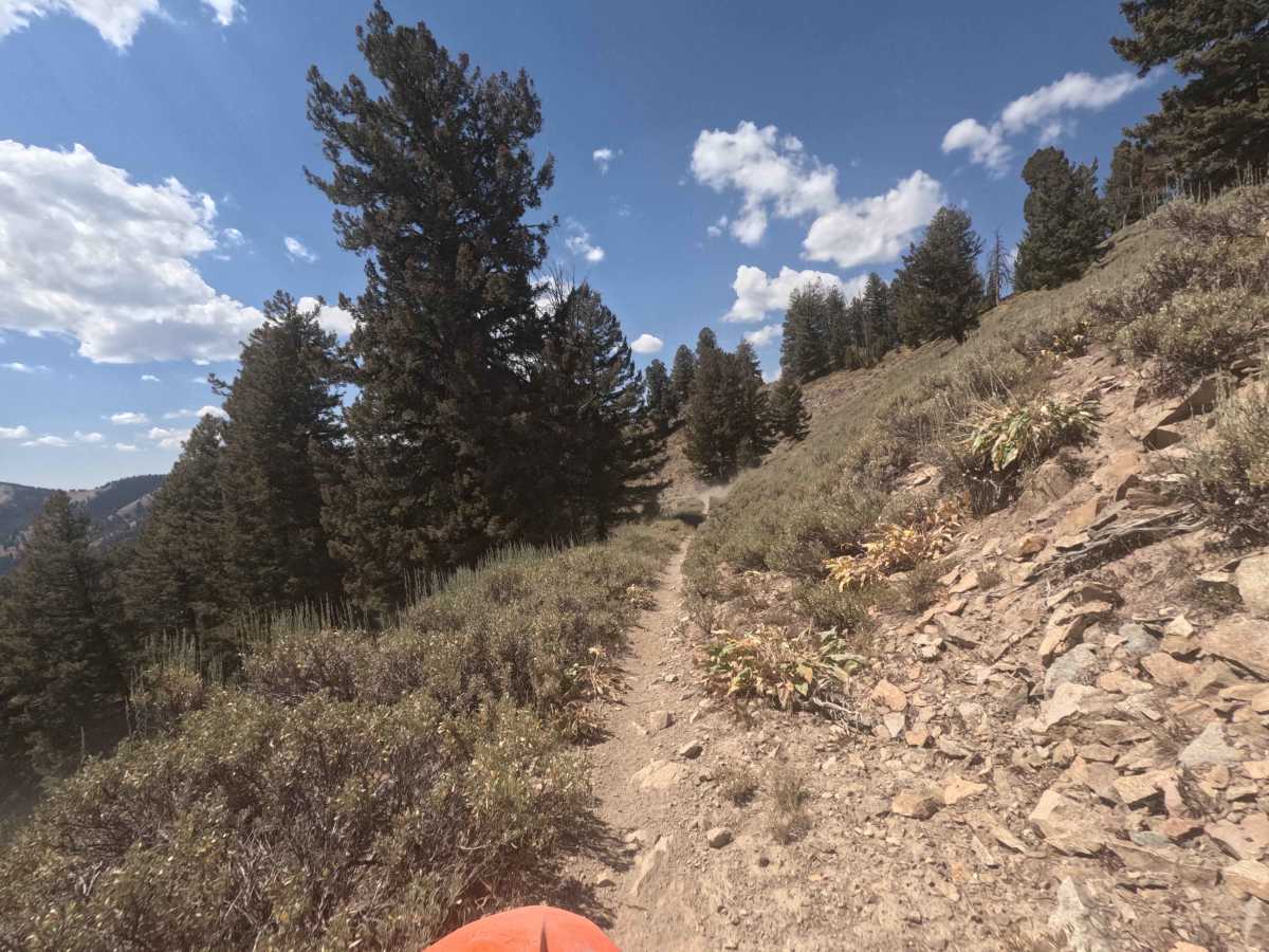 Mule Creek - FS 7198 photo 4
