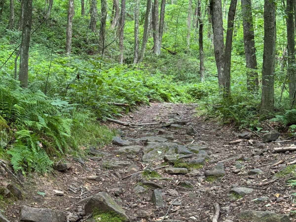 Trail 30 photo 3