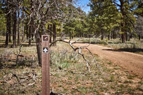 Ski Trail Connector 1