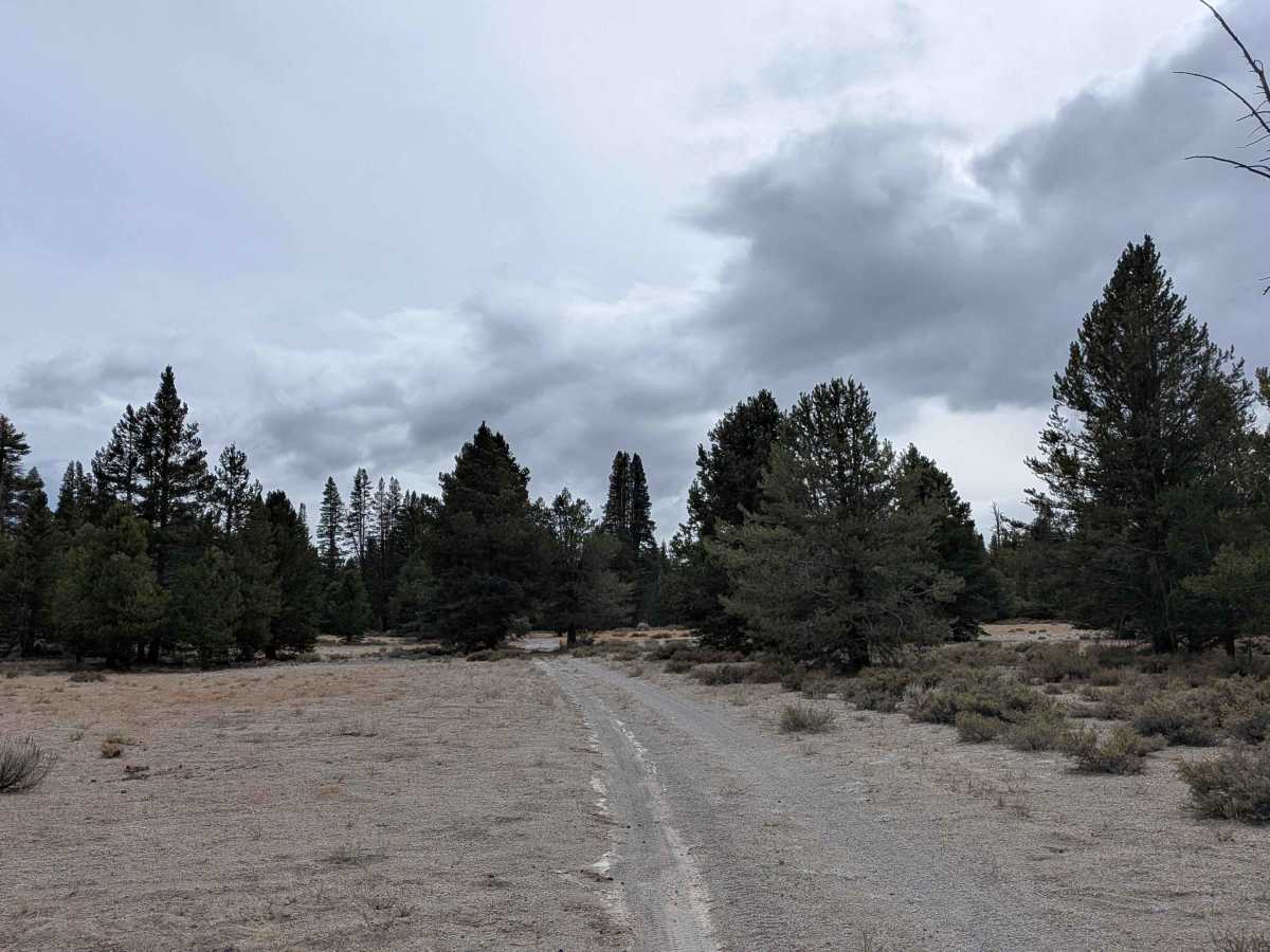Old Station House - FS 1S91 trail photo