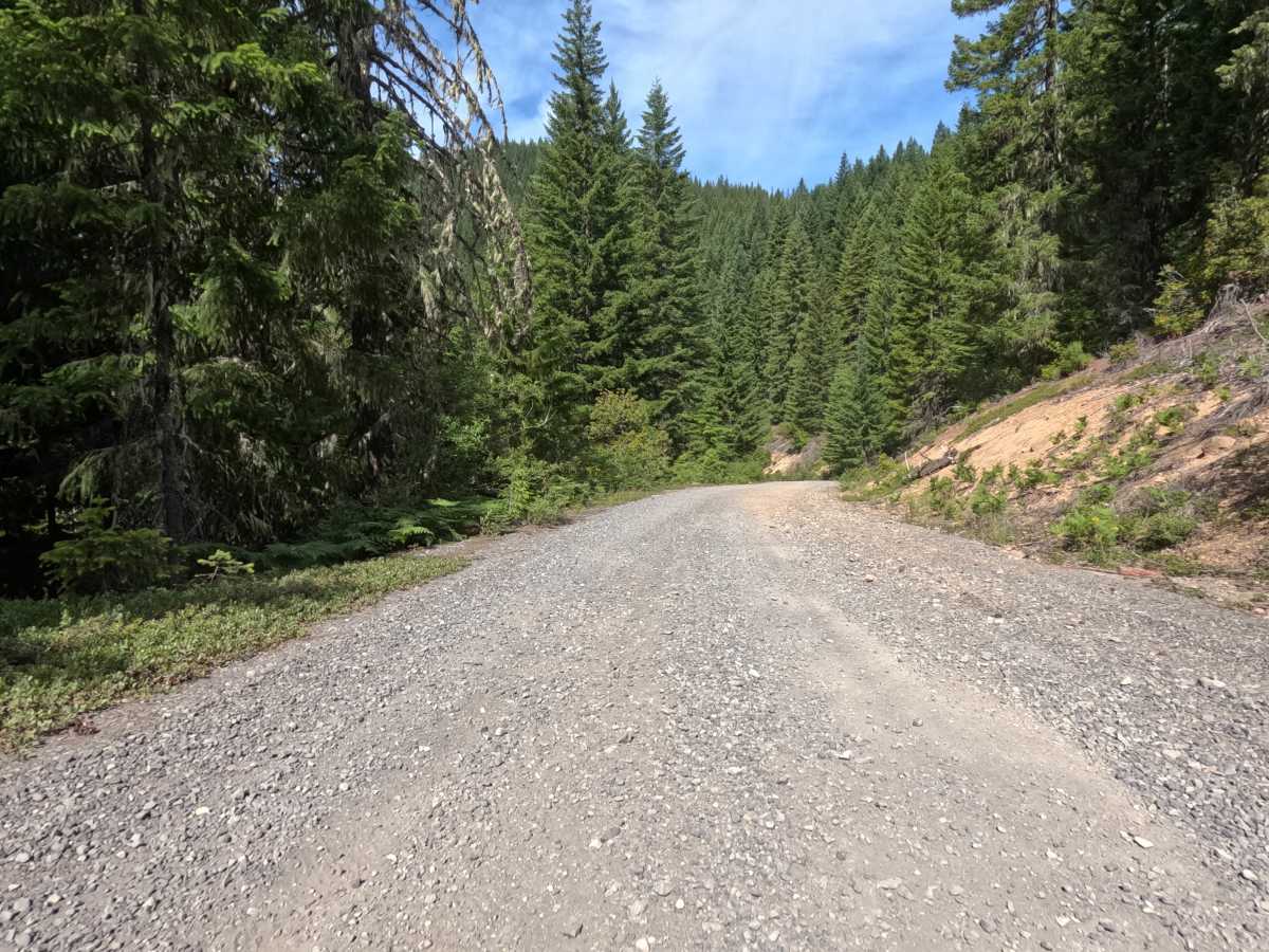 Elk Lake - FS 4697 photo 4