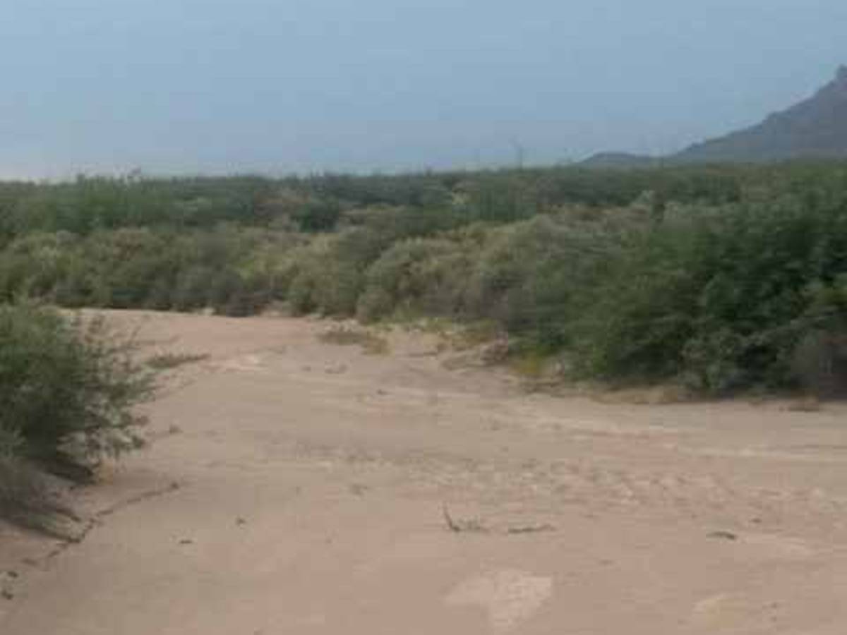 SS1106 photo 2