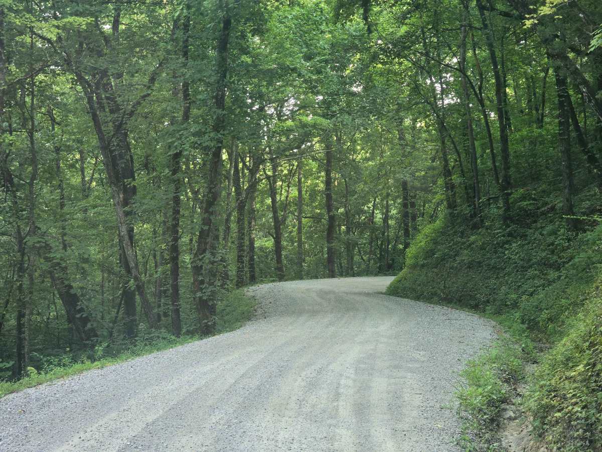 Walden Ridge Road photo 3
