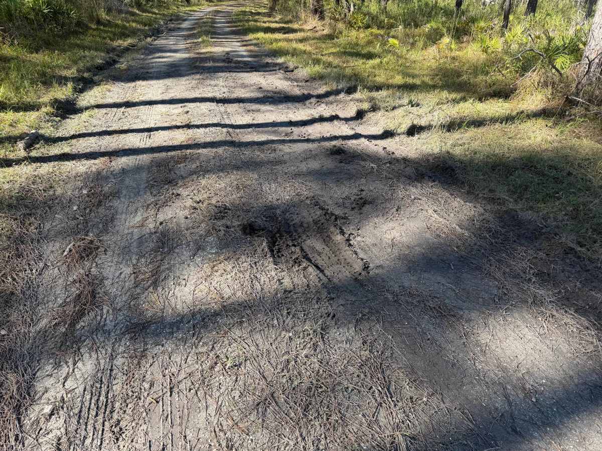 Oilwell Road photo 4