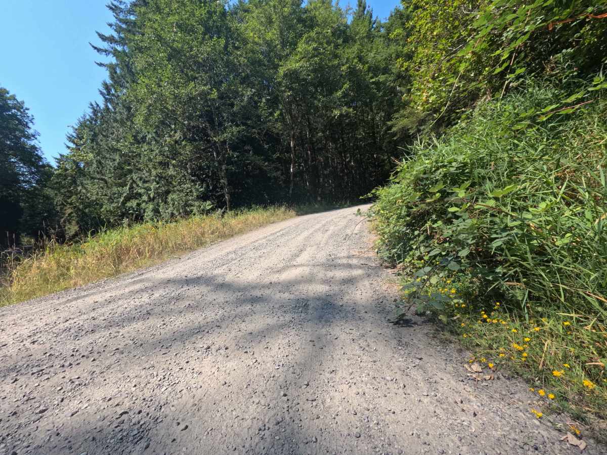 Gifford Pinchot - W1000 trail photo
