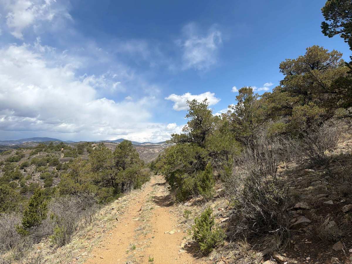 BLM 6055 photo 6