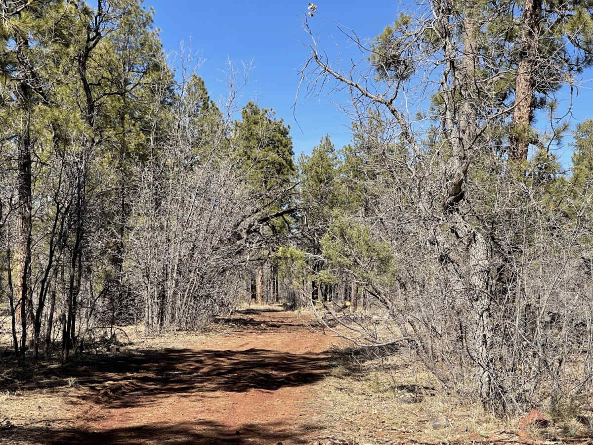 Rocky Ridge photo 4