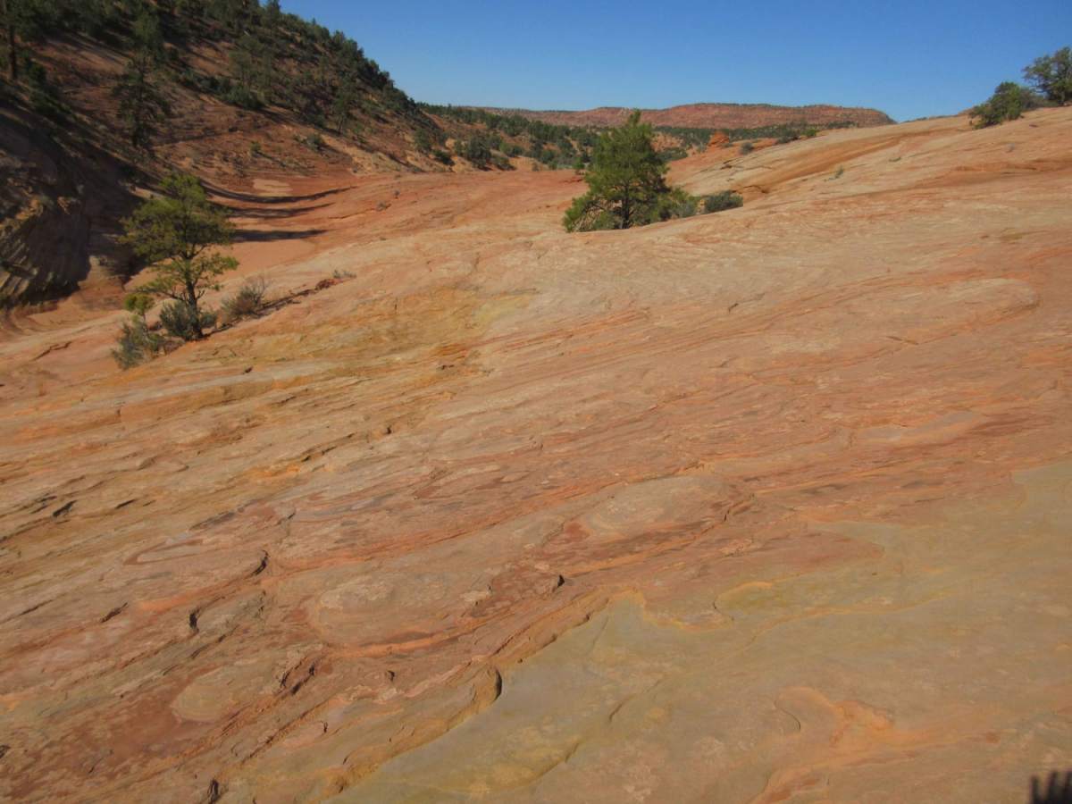 Dinosaur Tracks Loop photo 6