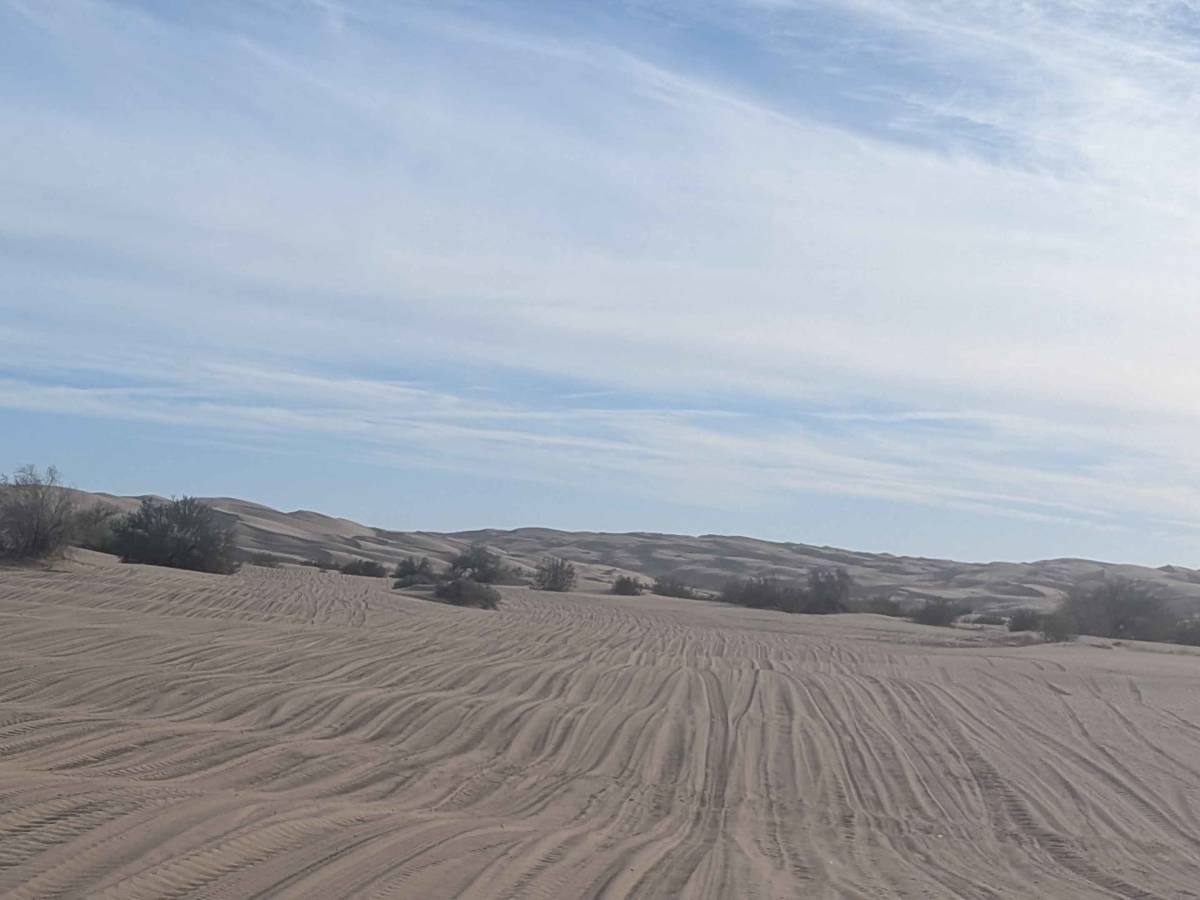 The Sand Highway photo 2