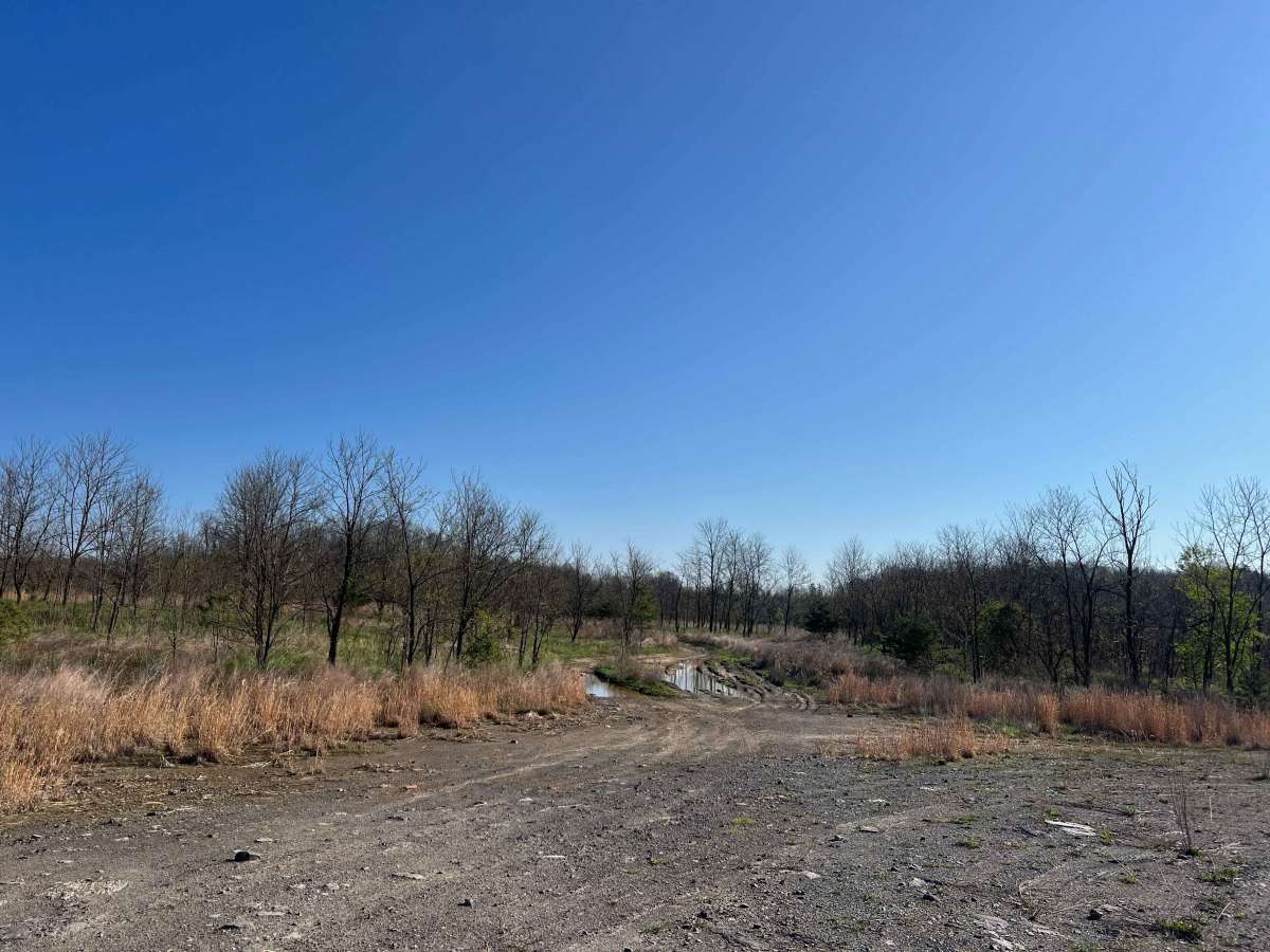 Q44 trail photo