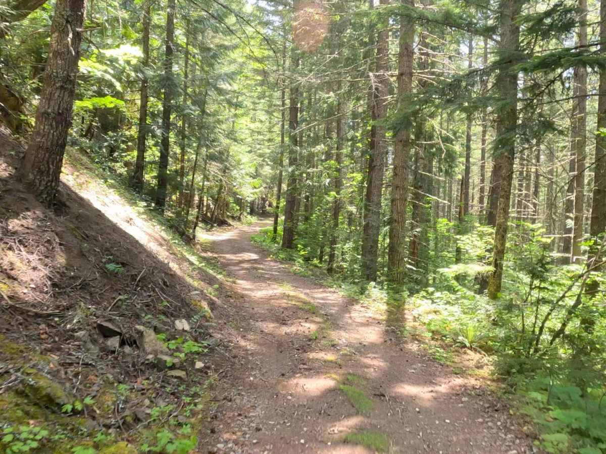 Booger's loop photo 3