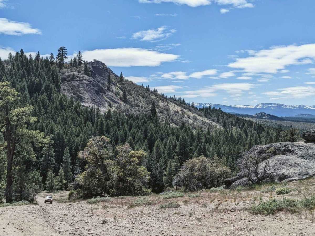 Portola "P" - NF14M03 trail photo