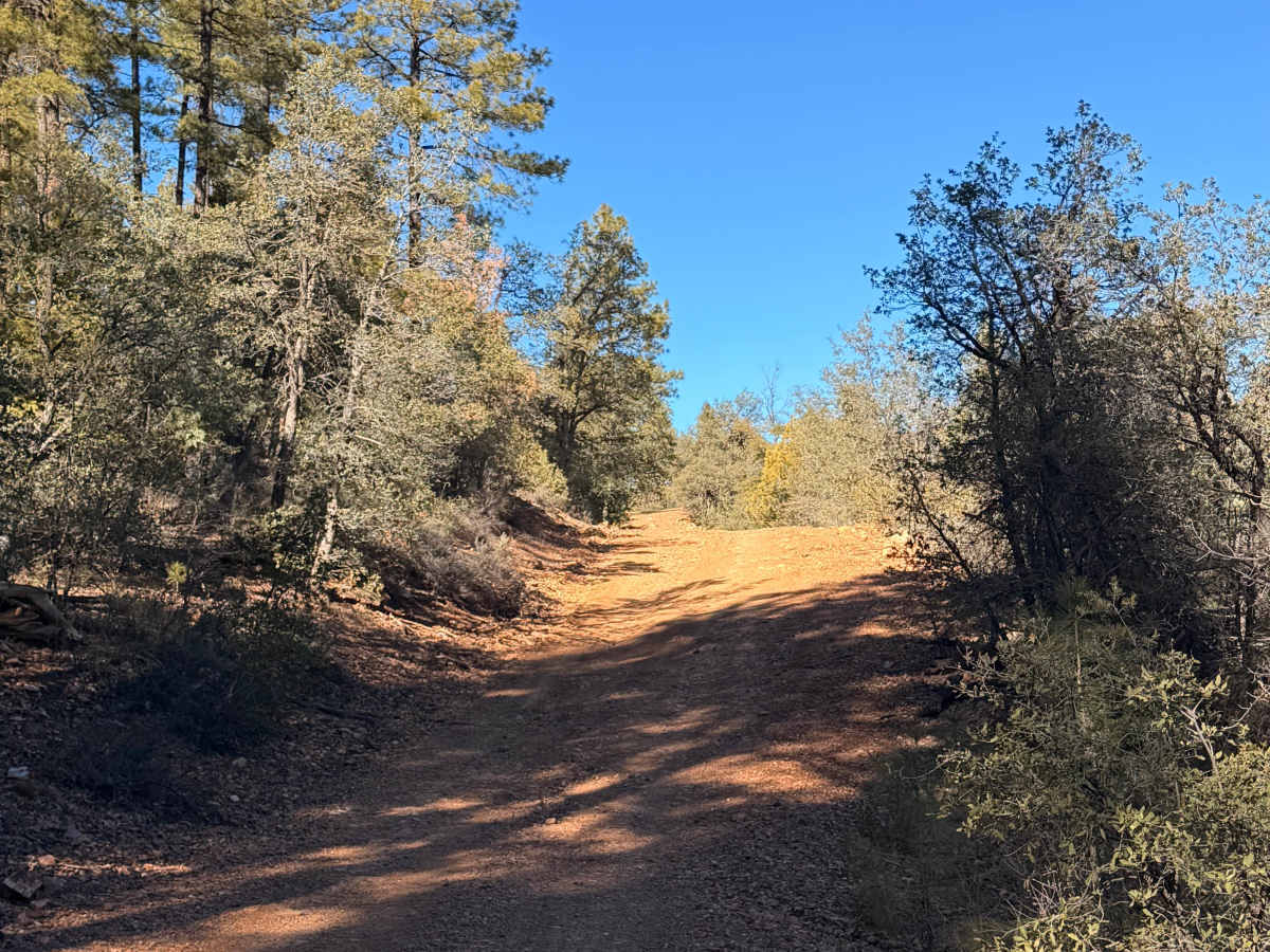 Bear Head Springs Segment - FS 609 photo 4