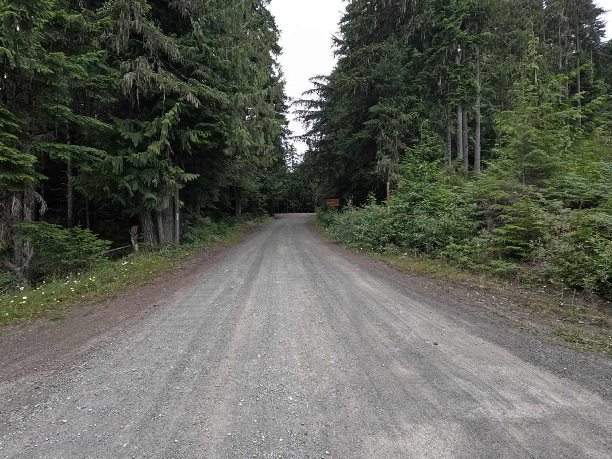 Deer Park Road trail photo