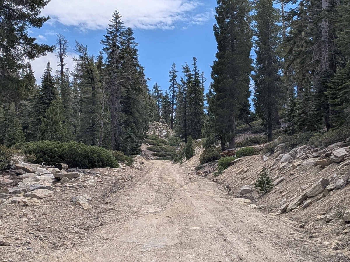 Cherry Hill Road South - FS 22S12 trail photo