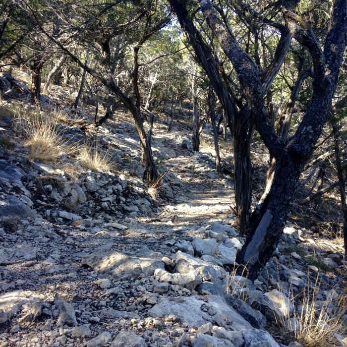 The terrain through which the Camp Eagle - Zip Trail passes is rocky and warrants watching where you place your feet. Near Boot Trail