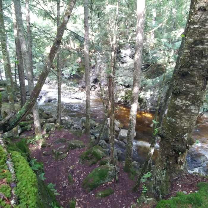 Brook by the trail. Near Lower Wolfjaw Mountain