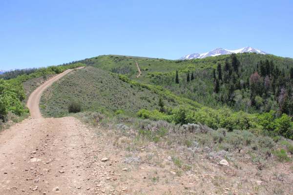 The Crown: BLM Road #8320