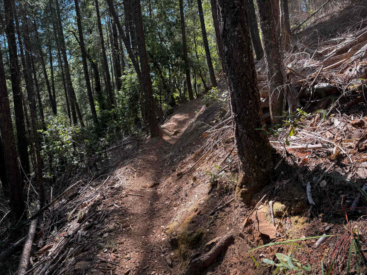 Trail 6 (12E50)   photo 6